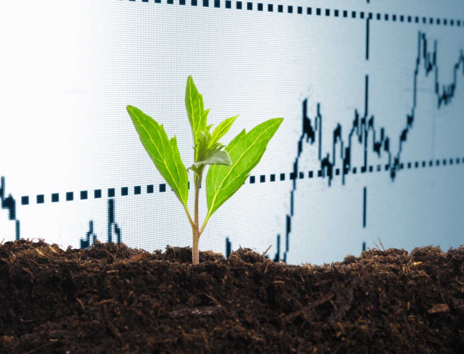 A seedling in front of a graphic chart